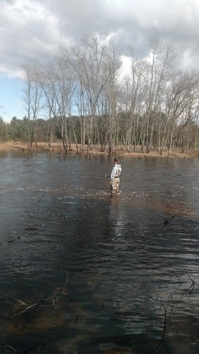 upper peninsula steelhead upper peninsula steelhead