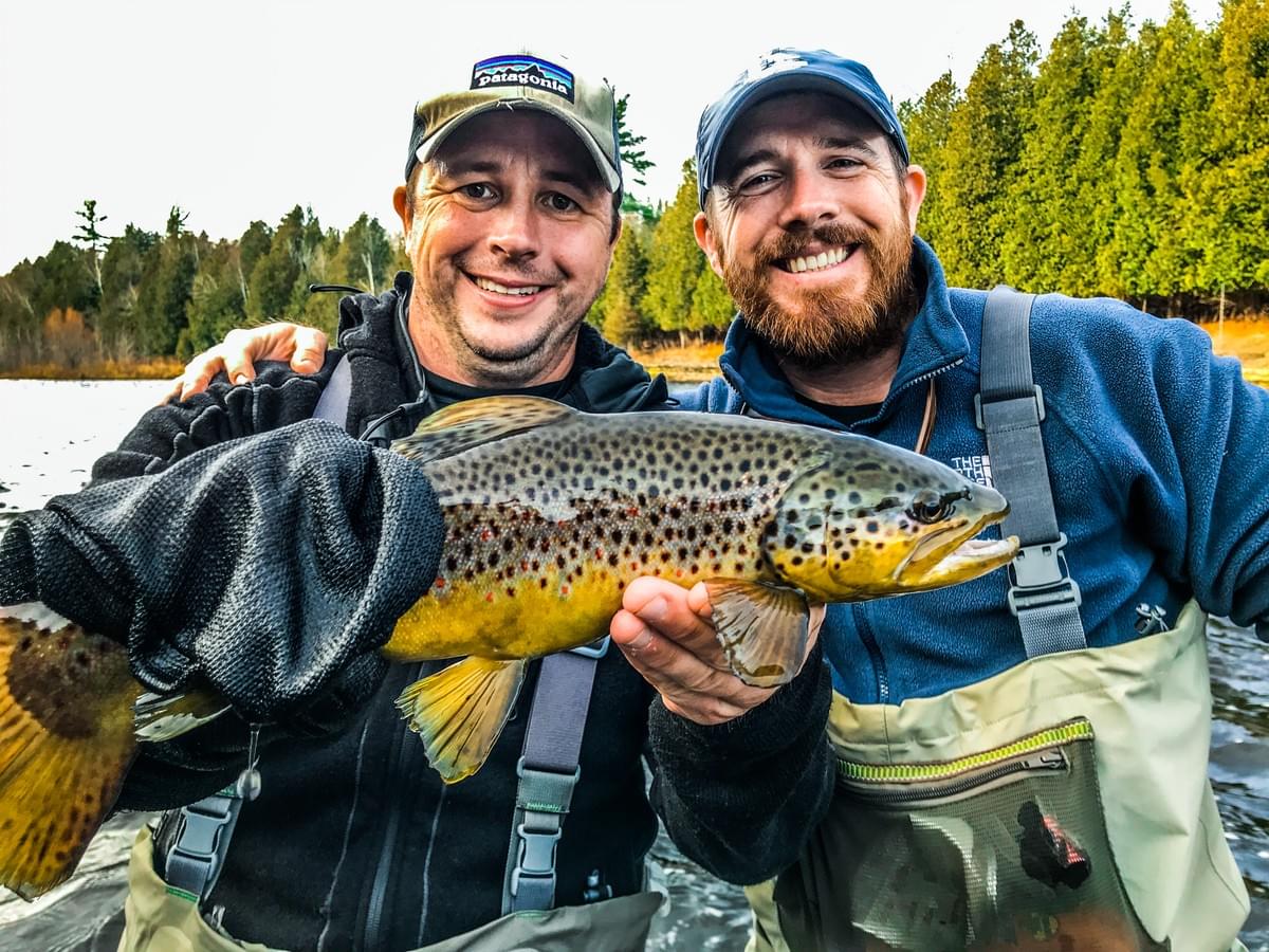 upper peninsula brown trout upper peninsula brown trout