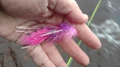 upper peninsula steelhead upper peninsula steelhead