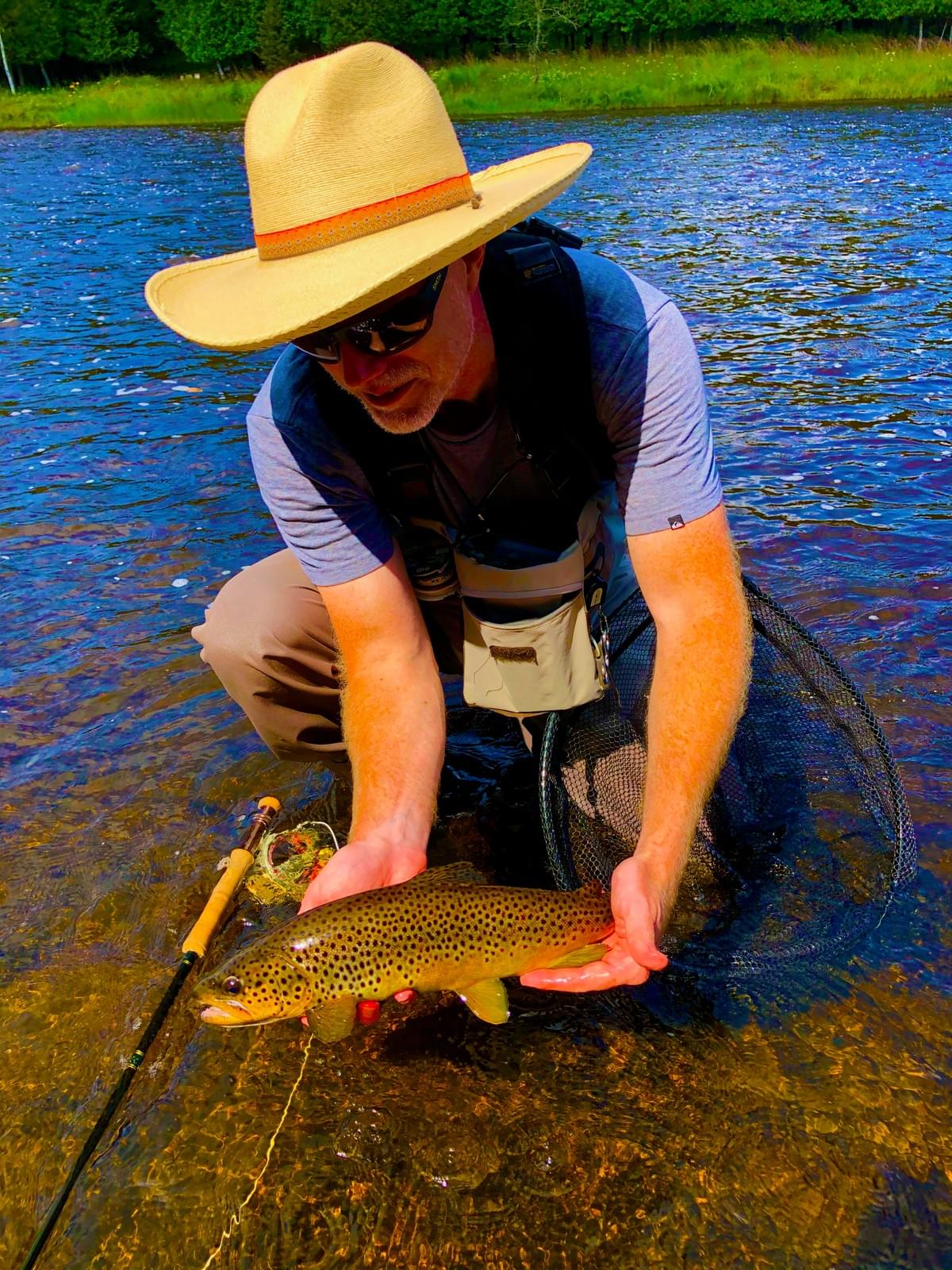 upper peninsula brown trout upper peninsula brown trout