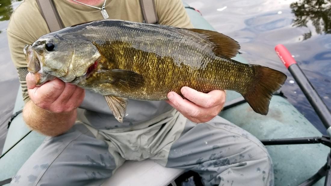 upper peninsula smallmouth upper peninsula smallmouth