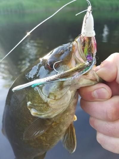 upper peninsula smallmouth upper peninsula smallmouth