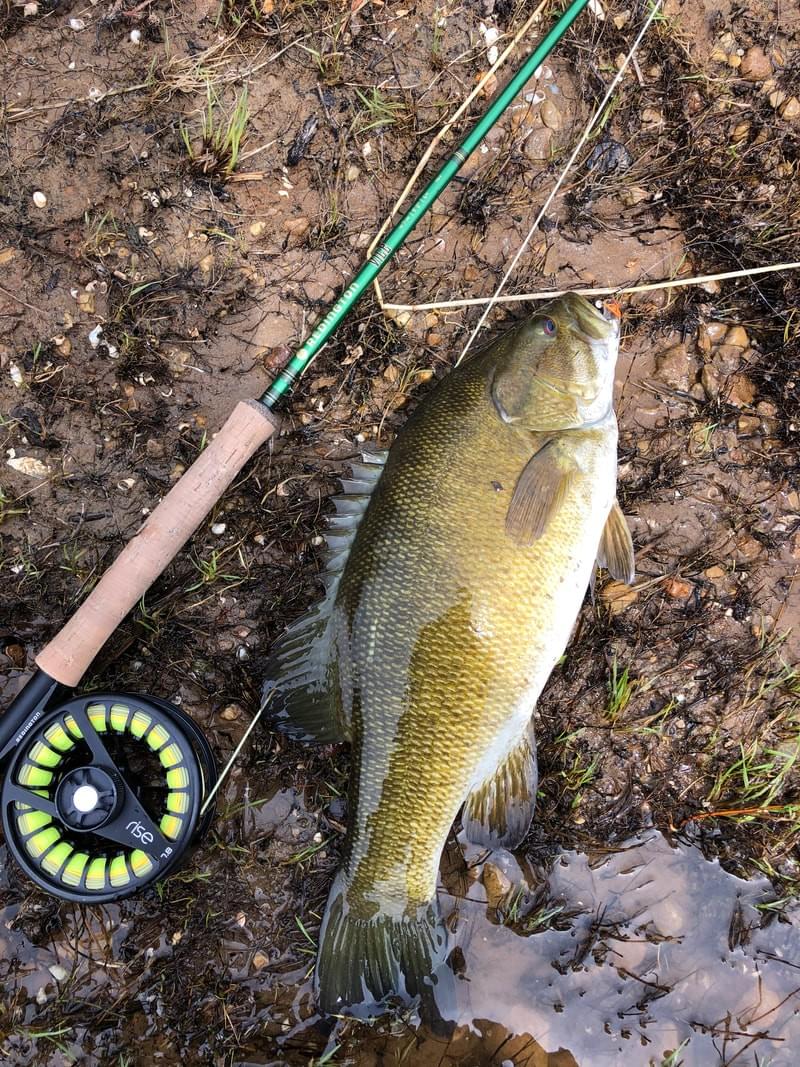 upper peninsula smallmouth upper peninsula smallmouth
