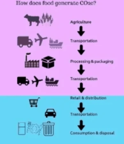 Infographic showing that food generates carbon at different stages Infographic showing that food generates carbon at different stages