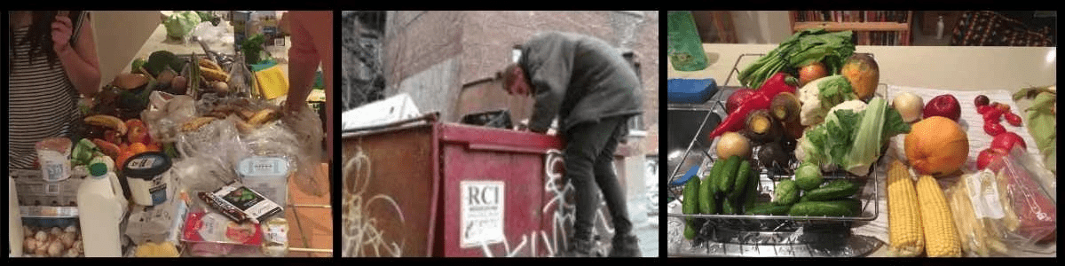 Dumpster diving in action and the great food you can find Dumpster diving in action and the great food you can find