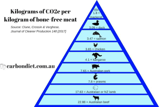 Chart shows that beef and lamb generate more carbon than chicken, salmon and duck Chart shows that beef and lamb generate more carbon than chicken, salmon and duck