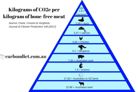 Chart showing that some types of meat generate more carbon than otherrs Chart showing that some types of meat generate more carbon than otherrs