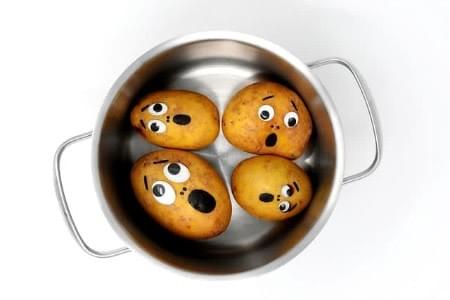 Potatoes contemplate their doom in the cookpot Potatoes contemplate their doom in the cookpot