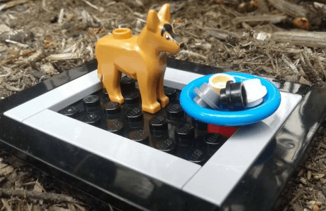 Lego sculpture of a dog showing that pet food can be high-carbon Lego sculpture of a dog showing that pet food can be high-carbon