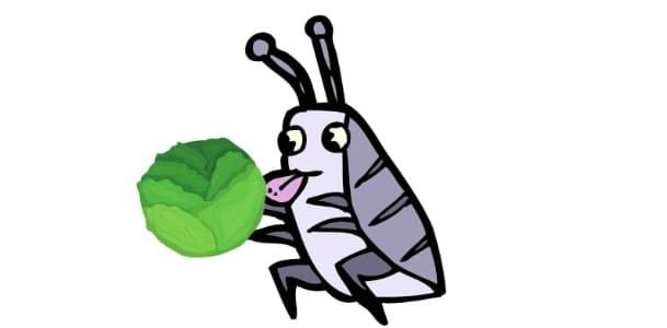 Cartoon of a mutant cockroach eating cabbage Cartoon of a mutant cockroach eating cabbage
