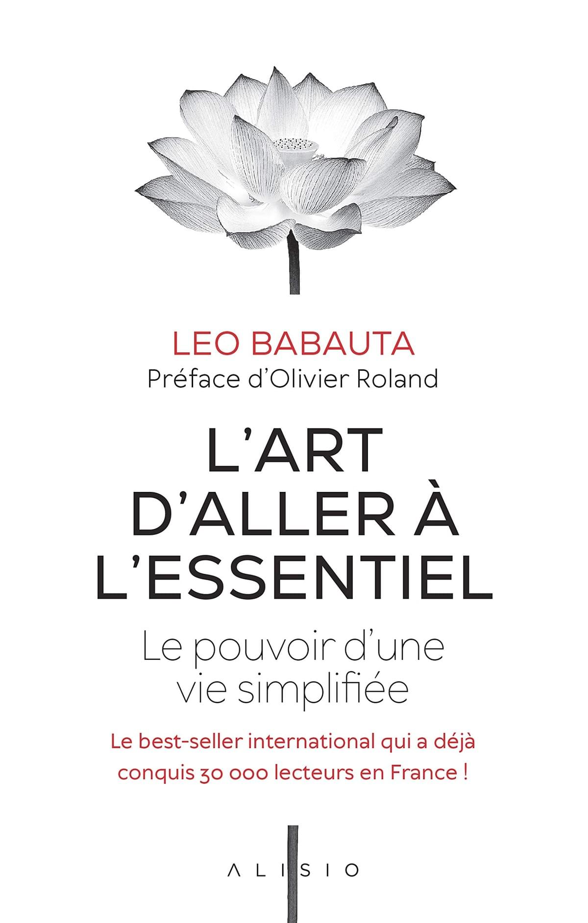 L'art d'aller à l'essentiel, de Leo Babauta L'art d'aller à l'essentiel, de Leo Babauta
