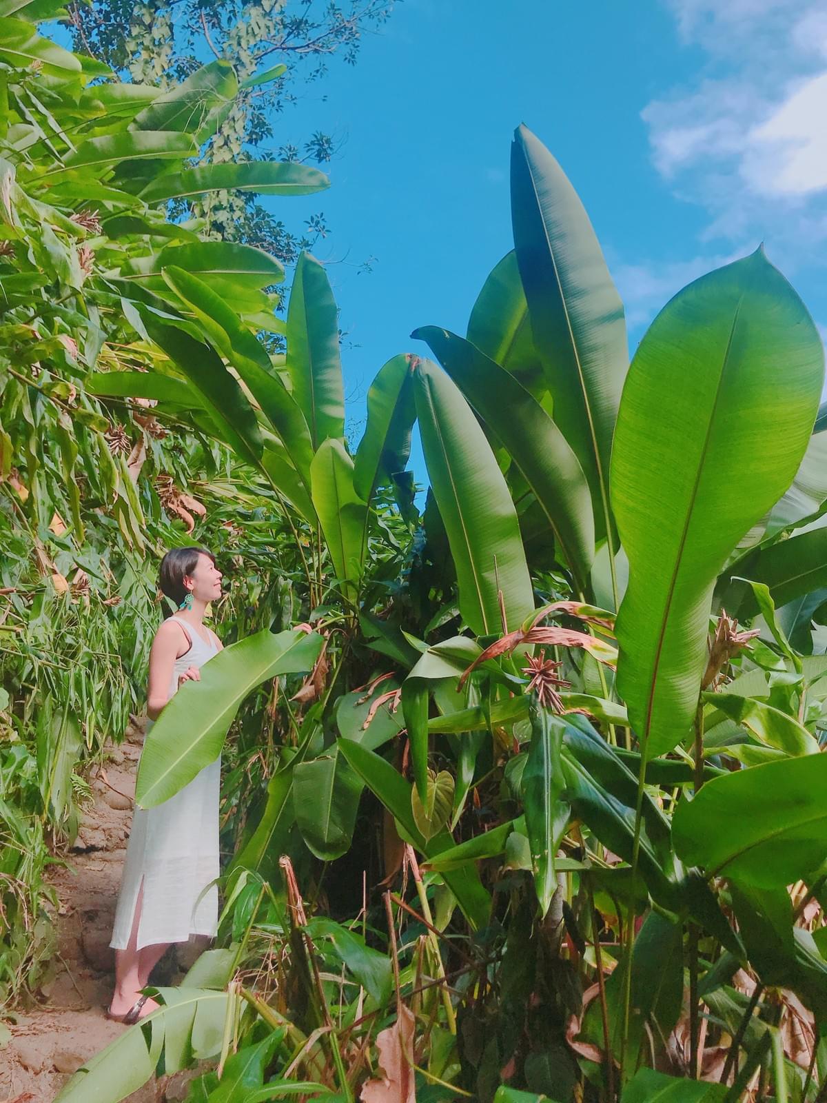 鳥取県ヨガスクール Moana yoga(モアナヨガ) Maui旅 鳥取県ヨガスクール Moana yoga(モアナヨガ) Maui旅