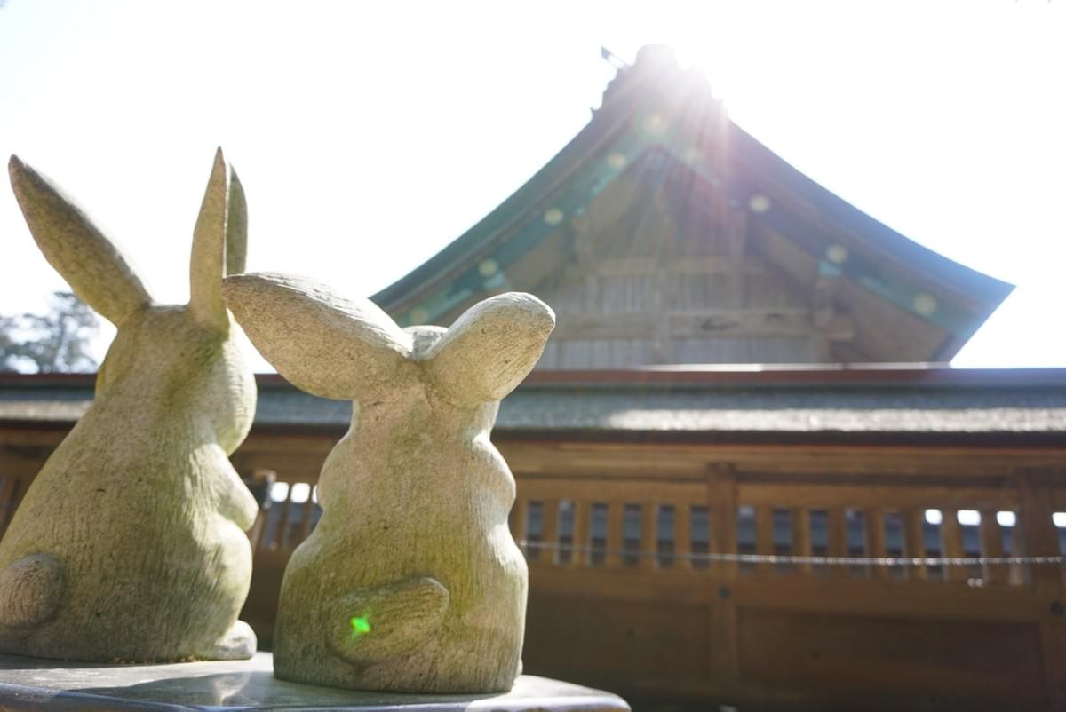 鳥取県ヨガスクール Moana yoga(モアナヨガ)出雲大社 鳥取県ヨガスクール Moana yoga(モアナヨガ)出雲大社