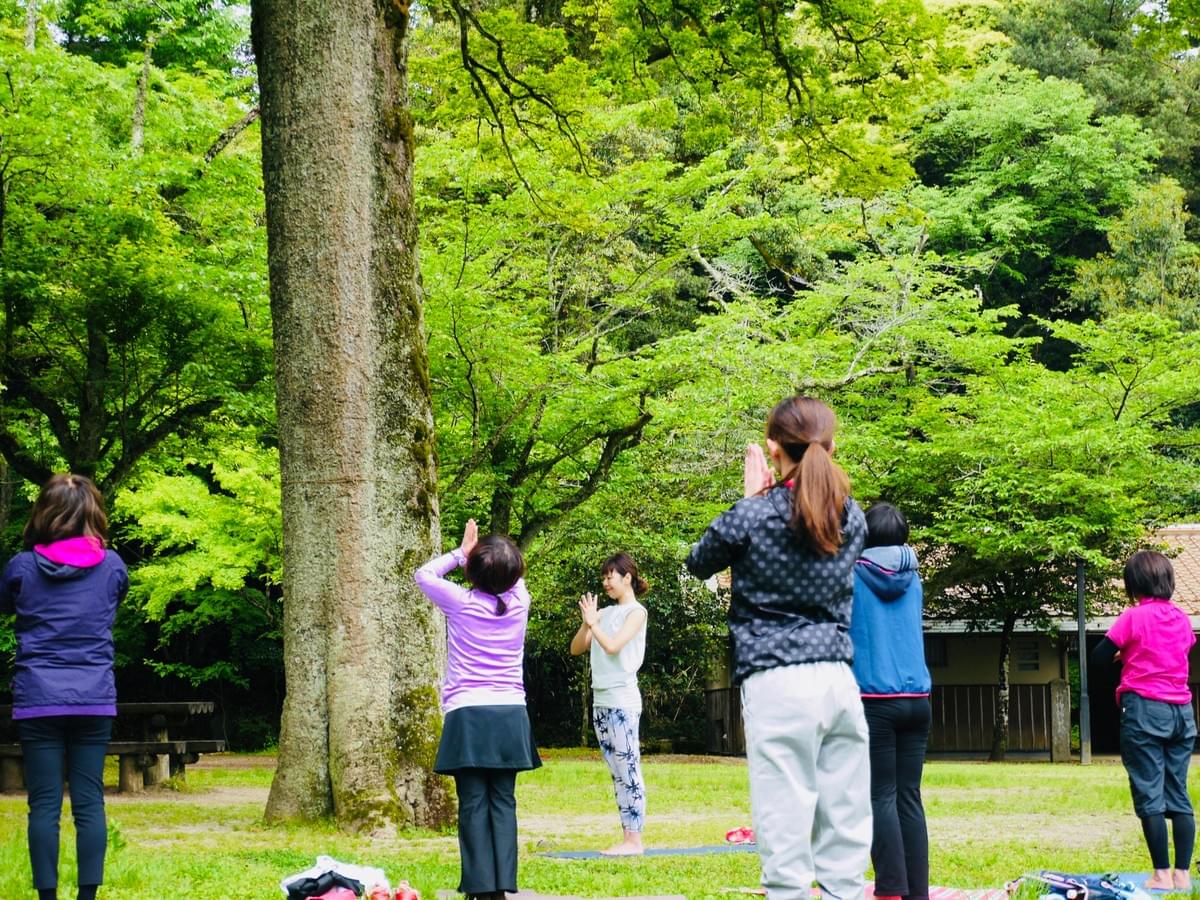 モアナヨガ 倉吉市打吹山でパークヨガ モアナヨガ 倉吉市打吹山でパークヨガ