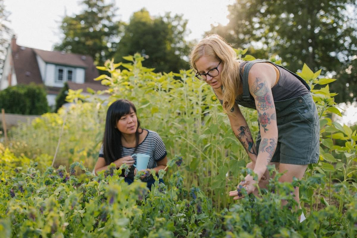 Amanda from Broadside Flowers and Rachel from Euclid Design Co discuss seasonal flowers on the flower farm in Caledon, Ontario Amanda from Broadside Flowers and Rachel from Euclid Design Co discuss seasonal flowers on the flower farm in Caledon, Ontario