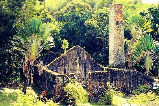 ruins-of-sugar-mill-martinique-french-west-indies ruins-of-sugar-mill-martinique-french-west-indies