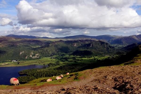 Cat Bells walk Cat Bells walk