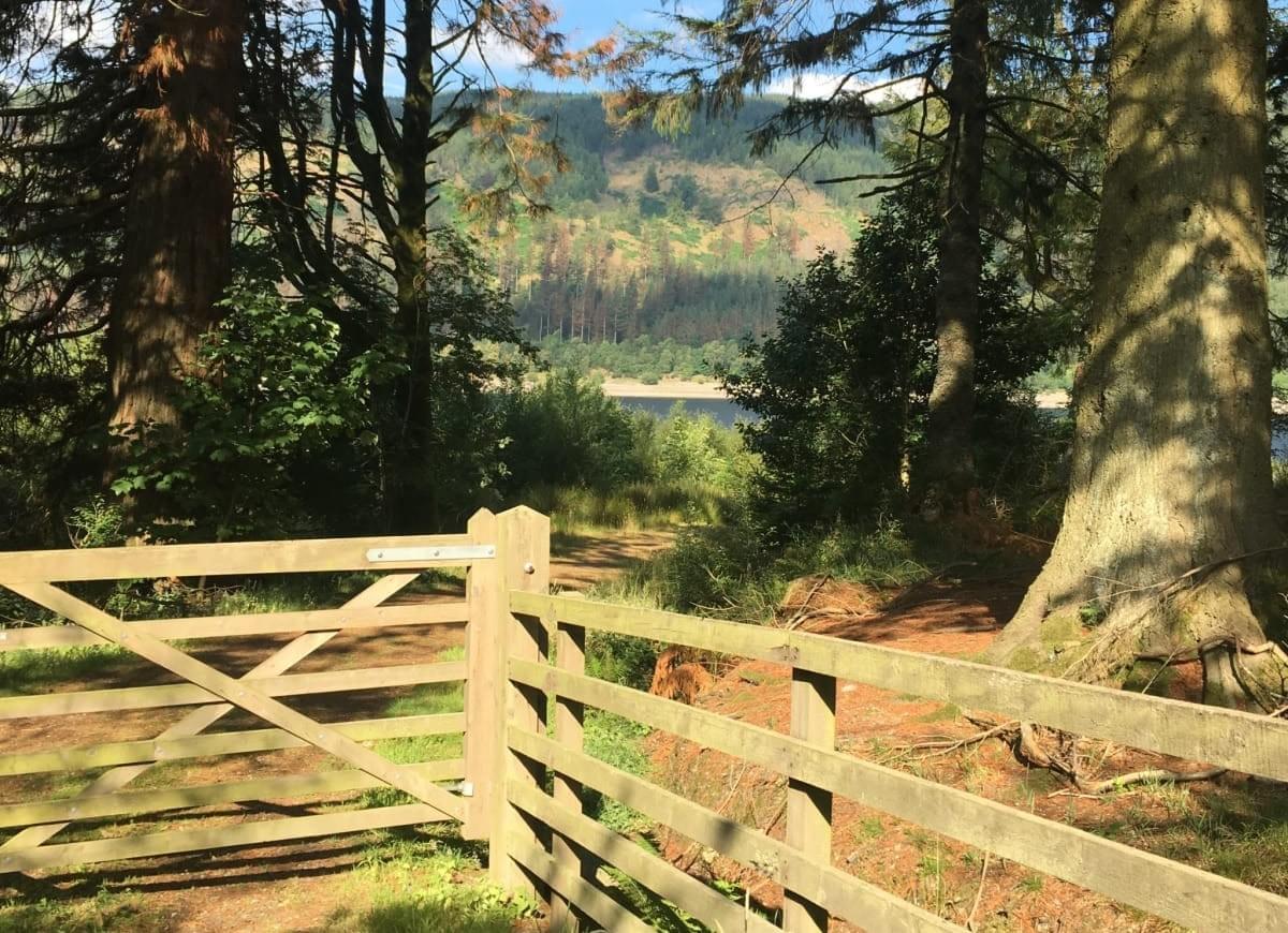 thirlmere lake thirlmere lake