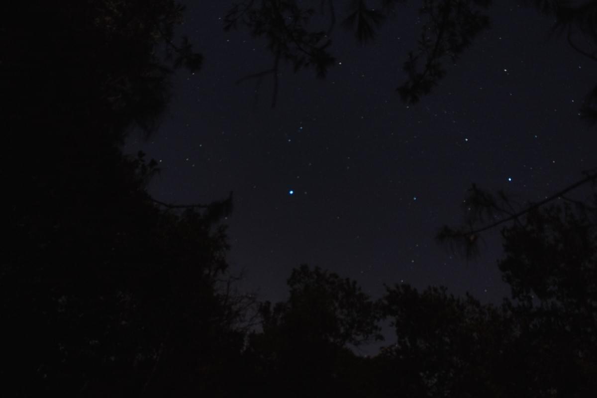 Stargazing grizedale forest Stargazing grizedale forest