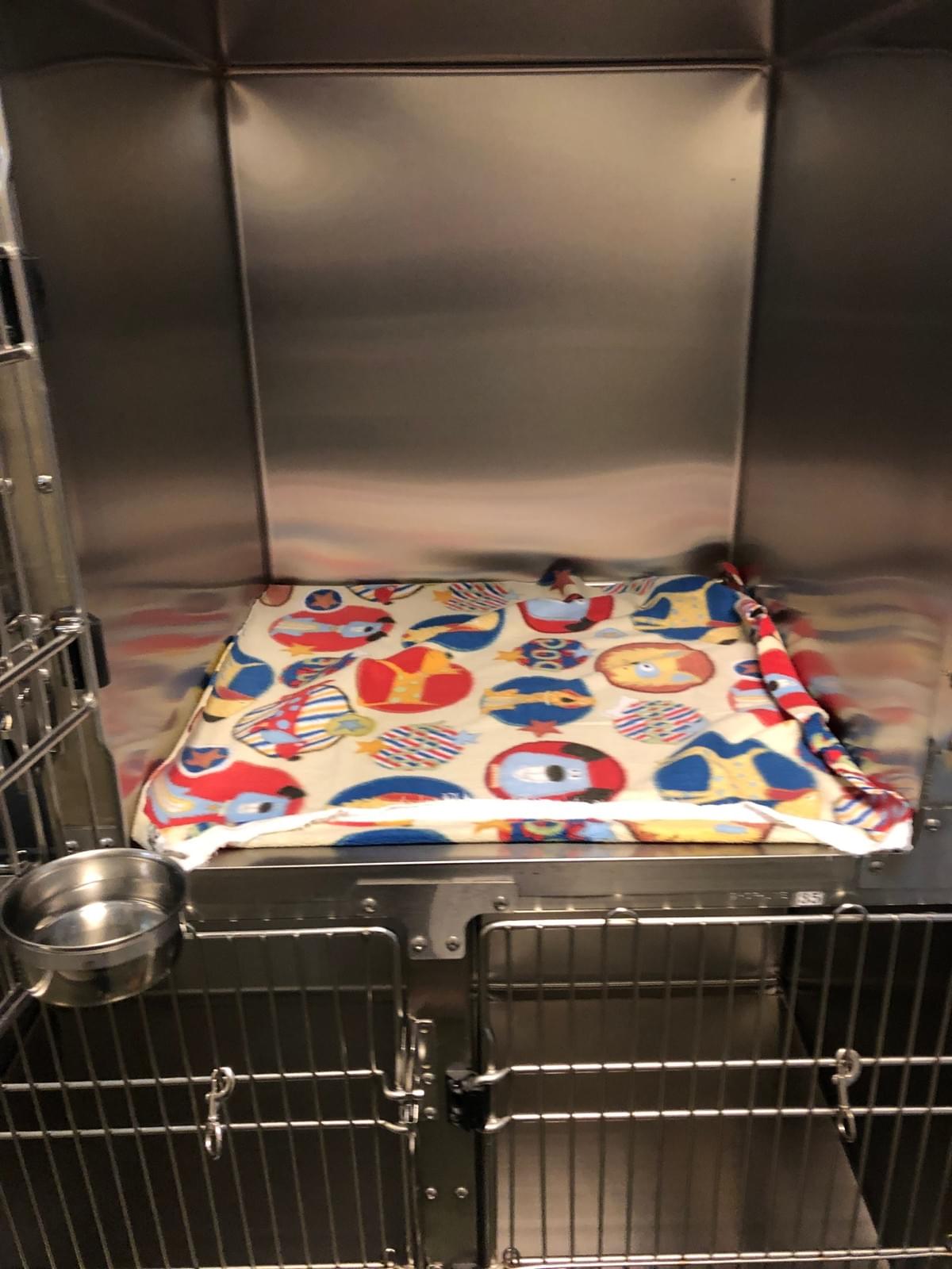 Medium sized kennel. They provide blanket and water. Medium sized kennel. They provide blanket and water.