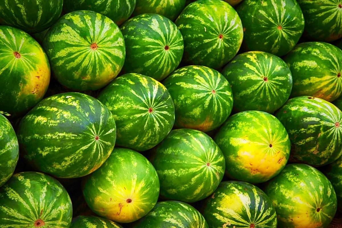 Watermelons in Cambodia Watermelons in Cambodia