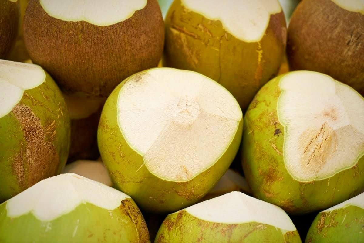 Young Coconuts in Cambodia Young Coconuts in Cambodia