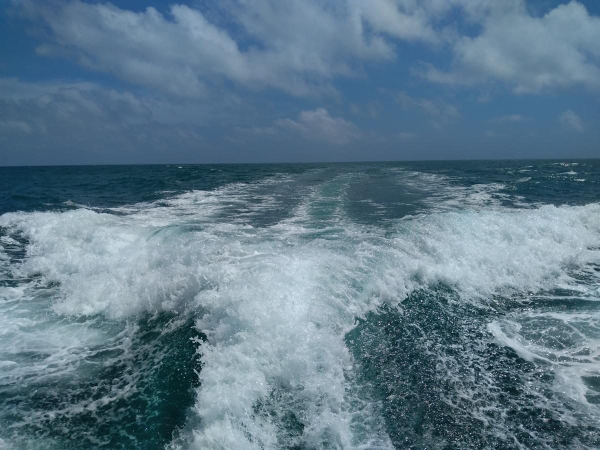 2020.8.9土佐湾散骨 2020.8.9土佐湾散骨