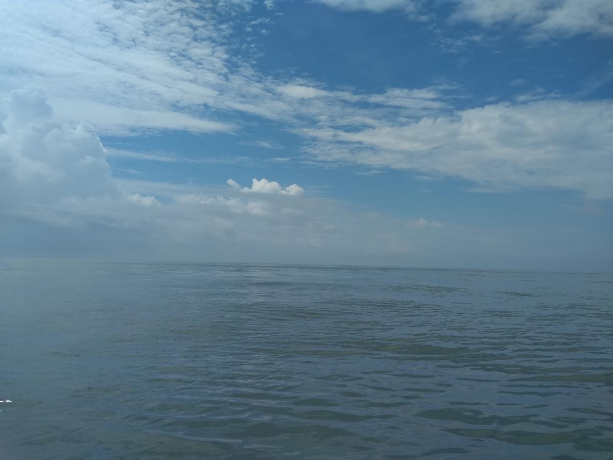 7.28土佐湾散骨 7.28土佐湾散骨