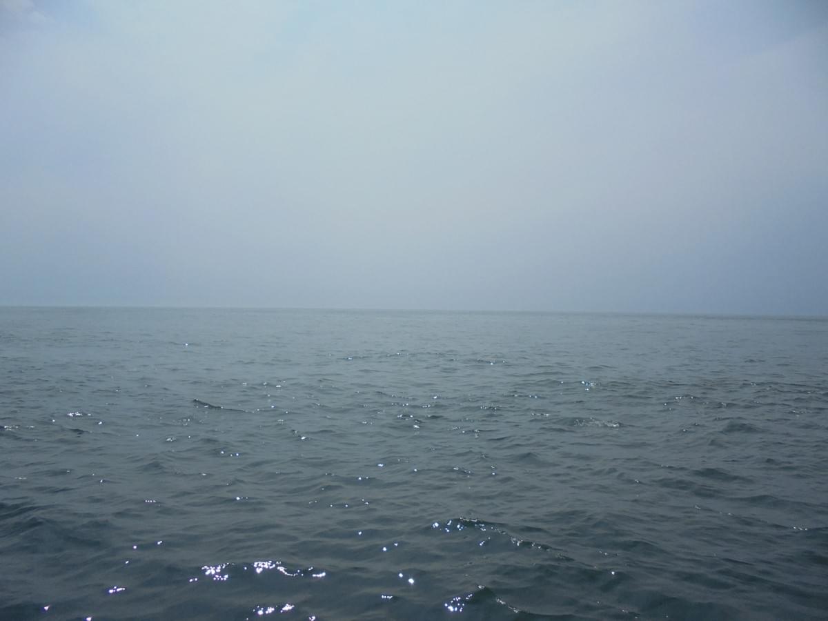 土佐湾散骨 土佐湾散骨