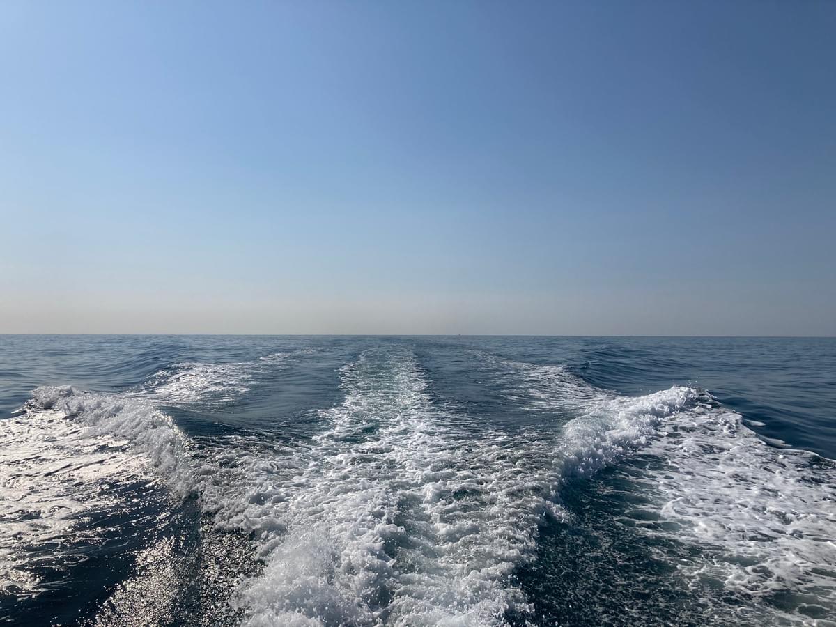 土佐湾散骨 土佐湾散骨