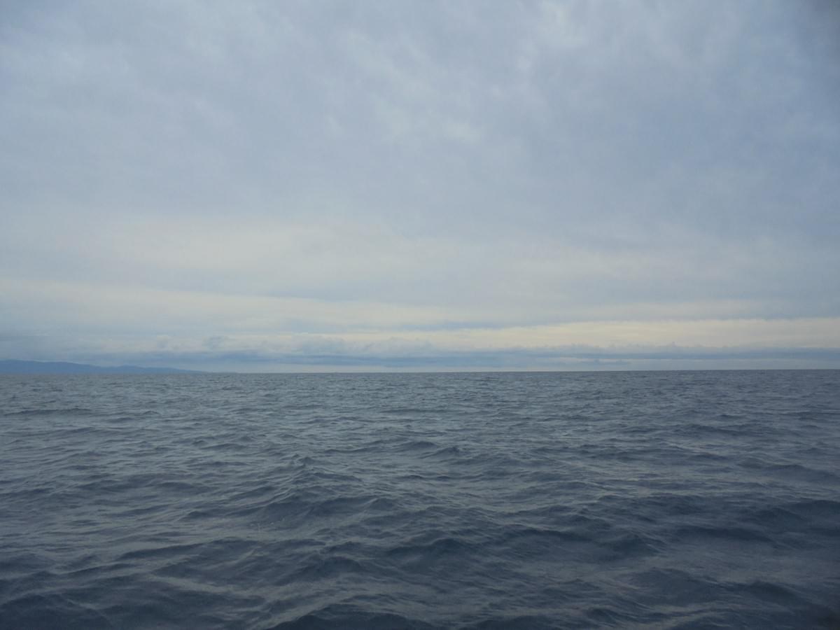 土佐湾散骨 土佐湾散骨
