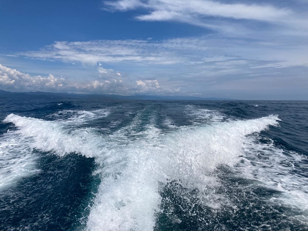 土佐湾散骨 土佐湾散骨