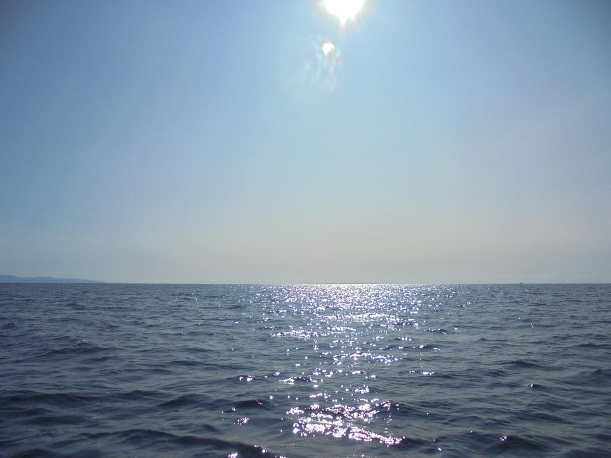 土佐湾散骨 土佐湾散骨