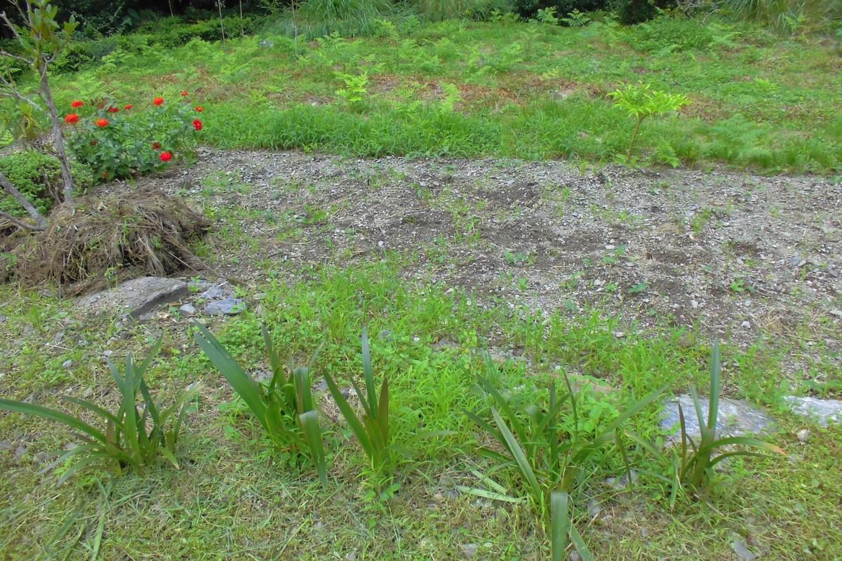 高知の墓じまい 高知の墓じまい