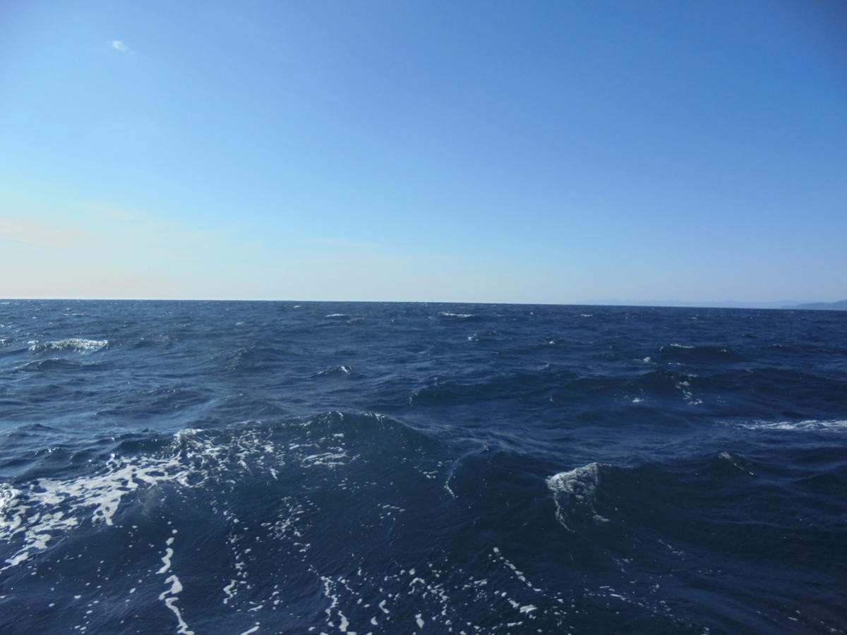 高知の土佐湾散骨 高知の土佐湾散骨