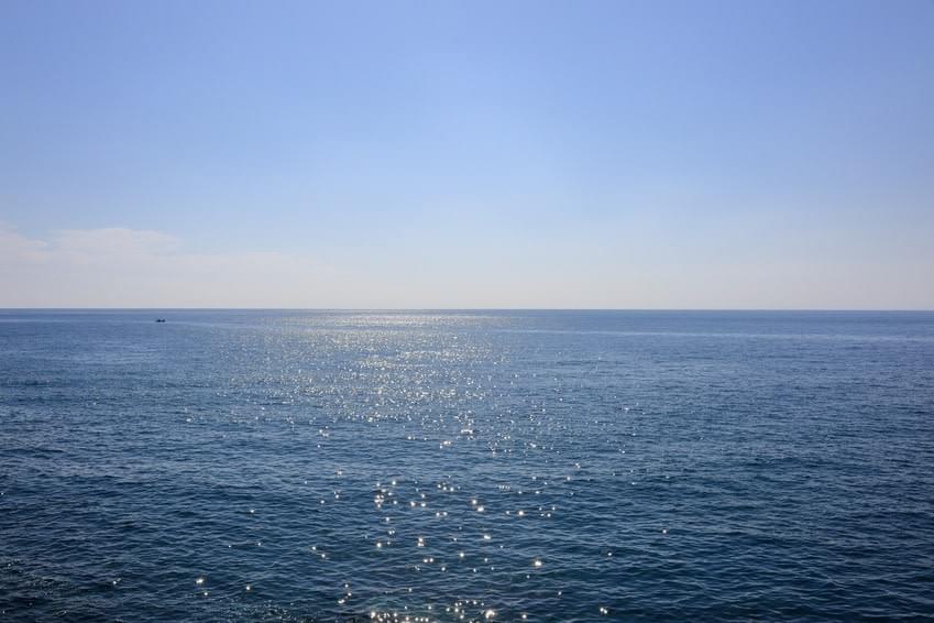 土佐湾 土佐湾