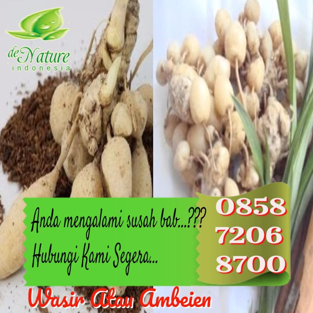 Cara Mengobati Ambeien Ampuh Cara Mengobati Ambeien Ampuh