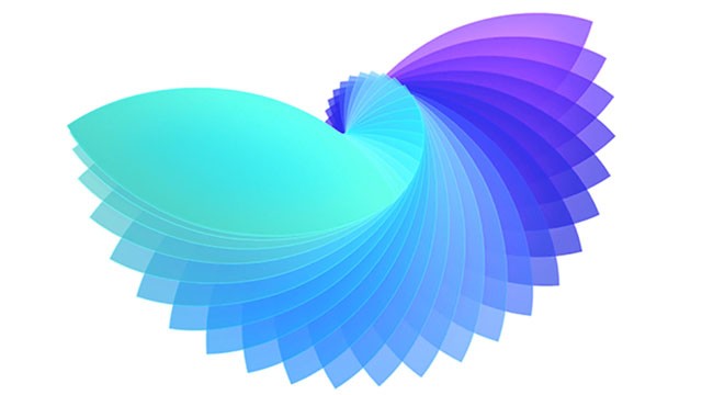 编号:13456 编号:13456