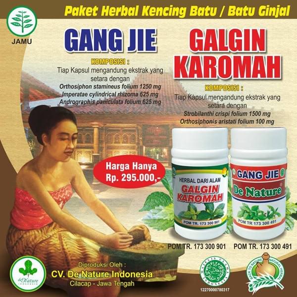 banner obat batu ginjal banner obat batu ginjal