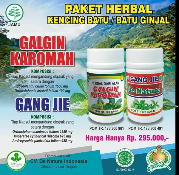 banner obat Batu Ginjal banner obat Batu Ginjal
