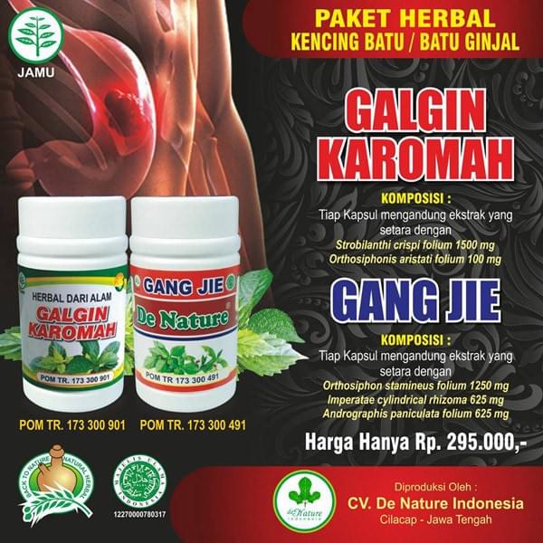 banner obat batu ginjal banner obat batu ginjal