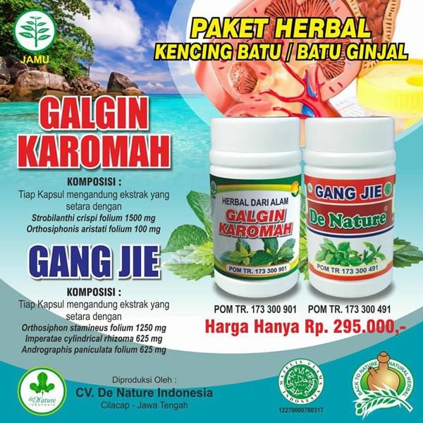 banner obat batu ginjal banner obat batu ginjal