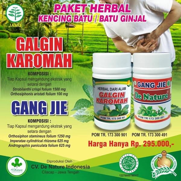 banner obat batu ginjal banner obat batu ginjal