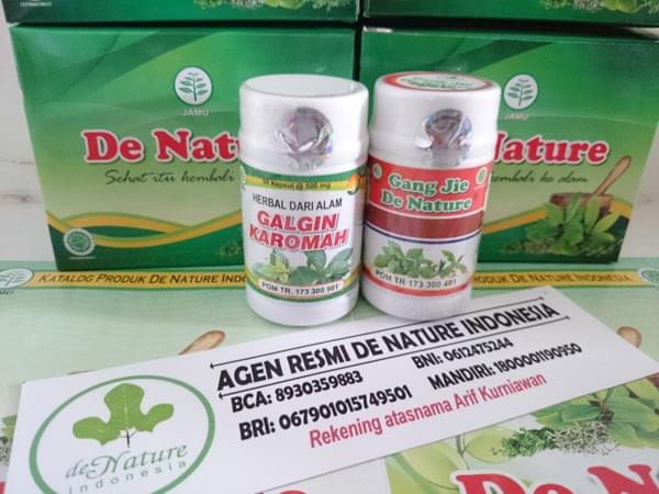 obat batu ginjal obat batu ginjal