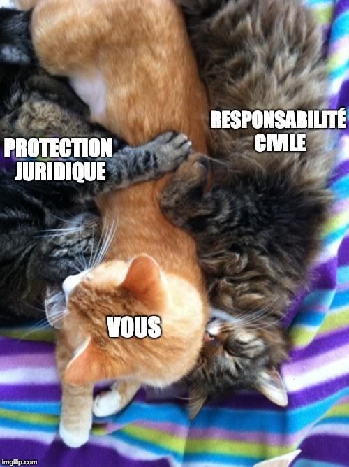 assurance freelance indépendant assurance freelance indépendant