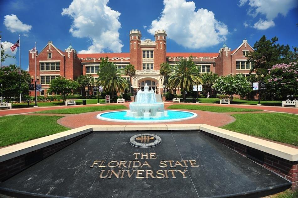 Florida University Florida University