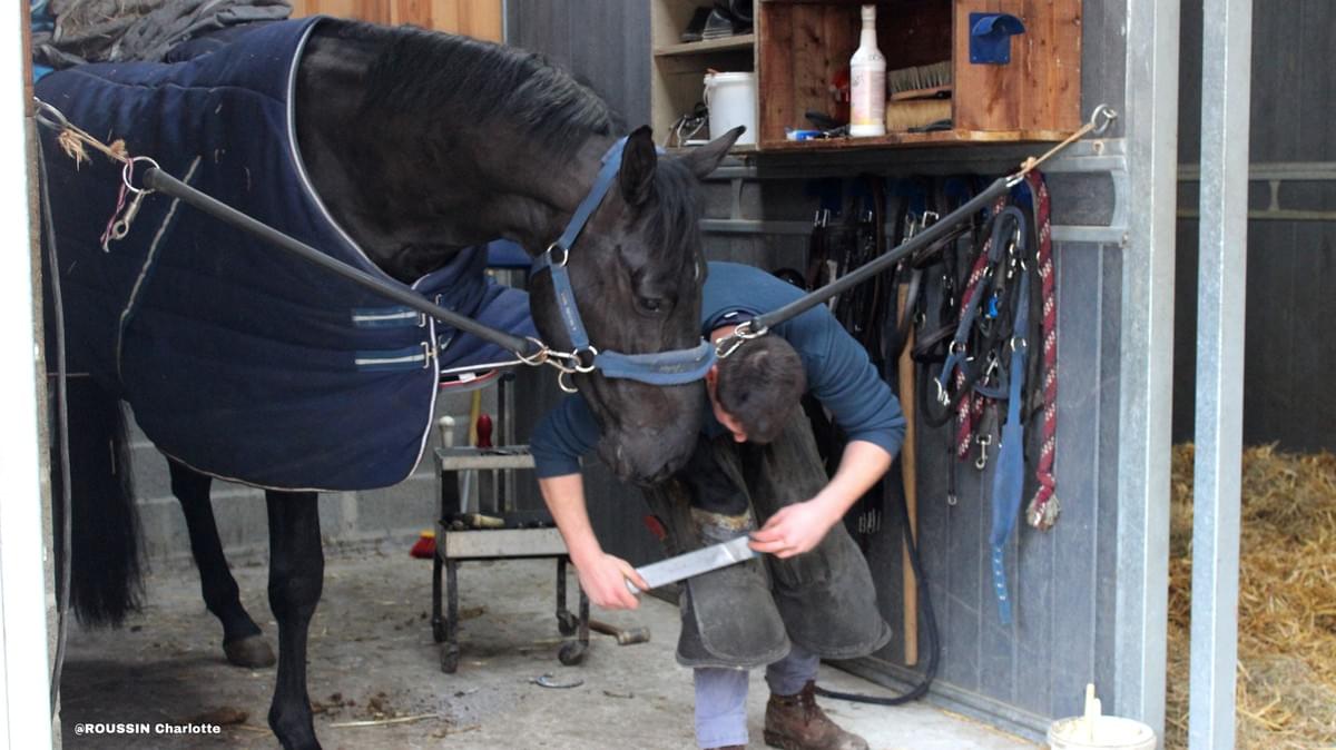 Projet Safe Farrier par Ethonova Projet Safe Farrier par Ethonova