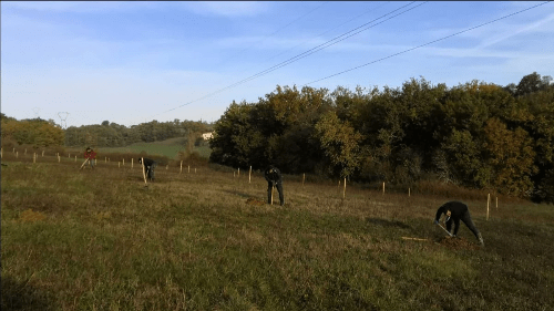 Les arbres du verger sont plantés ce mois de novembre Les arbres du verger sont plantés ce mois de novembre