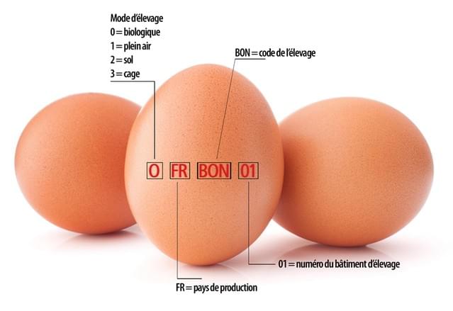 Reconnaitre le mode de production d'un oeuf Reconnaitre le mode de production d'un oeuf