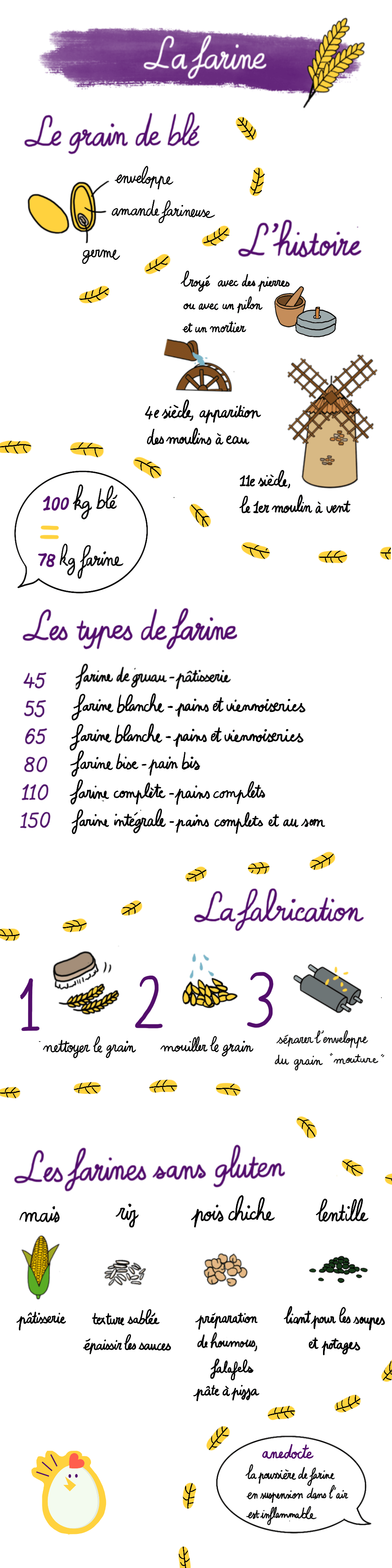 infographie sur la farine infographie sur la farine